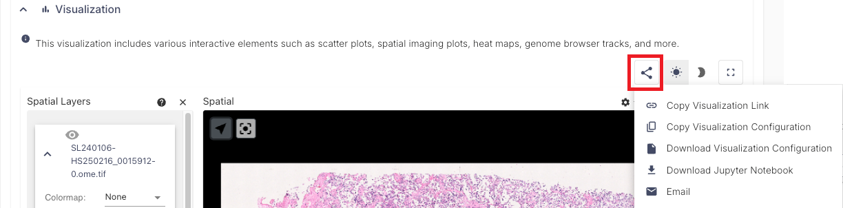 Vitessce Vizualization window