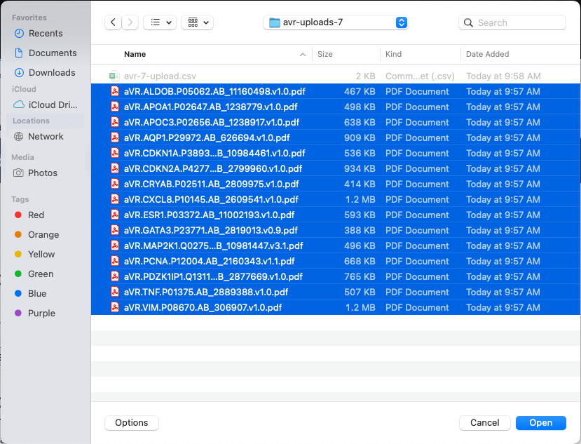 AVR Upload Screen